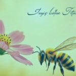 Bible Verses About Bees: Symbolism and Spiritual Meanings