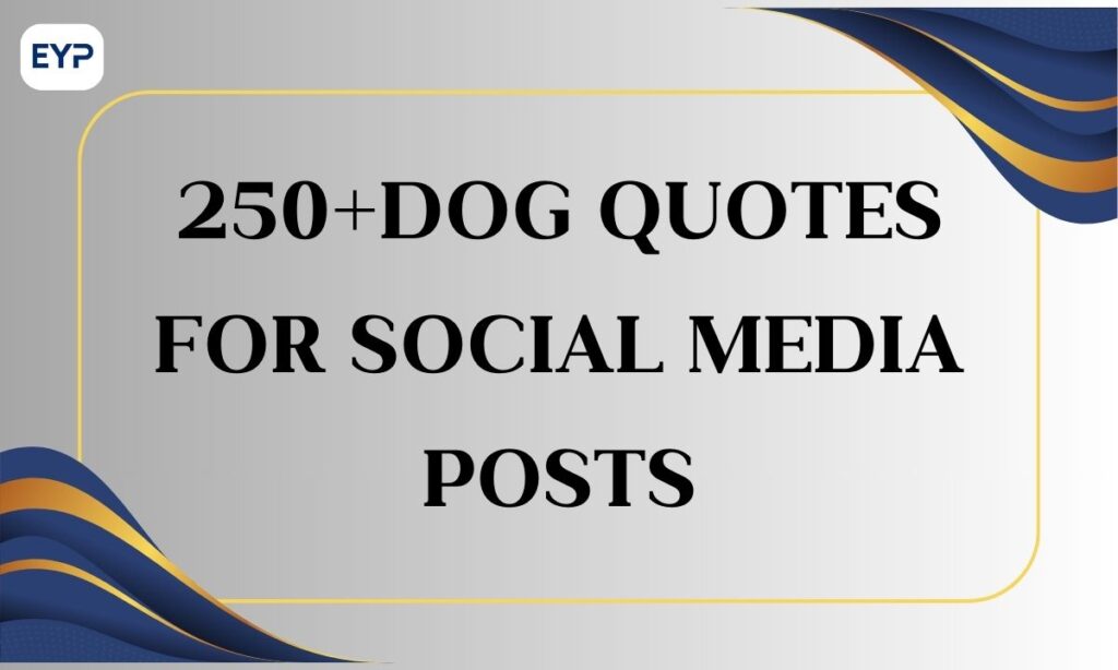 250+Dog Quotes For Social Media Posts