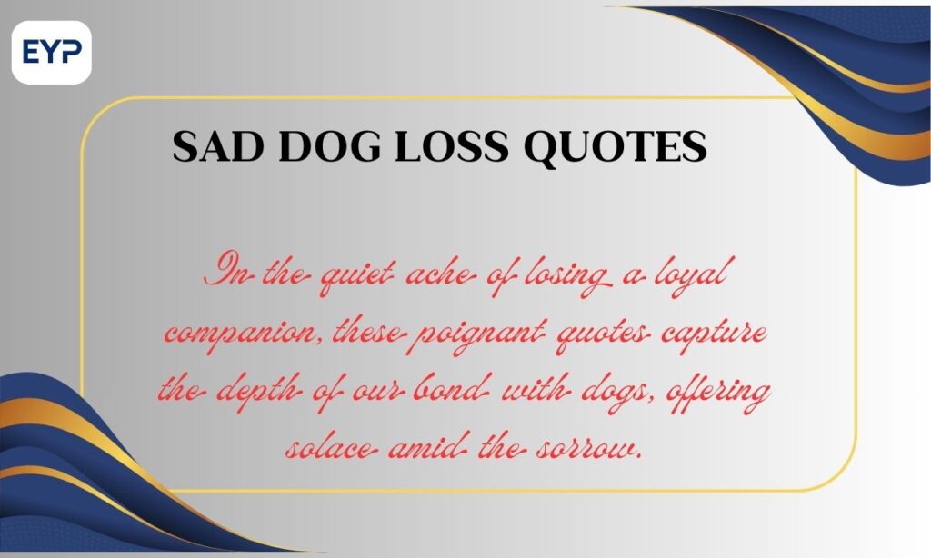 Sad Dog Loss Quotes