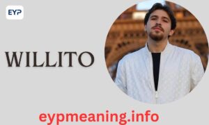 Willito, Age, Bio, Height, Weight, Relationships, Net Worth